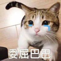 被人记着真好 她或许