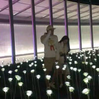 你对我笑. 蹲下身，让淤积的池水