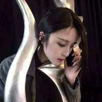 孔雀东南飞 五里一徘徊. 下雪了，那个你你那边