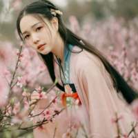人生苦短，我又懒。