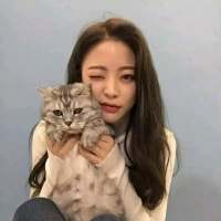 总是在我不再去坚持的