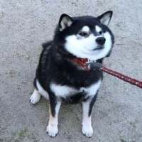 我在忧愁时想你，就像