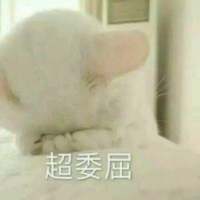 别让我听到你又爱上谁 我都快忘了曾经的那个