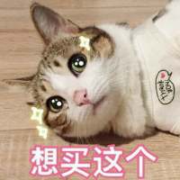 撒娇专用表情包 超喜欢惹 世界上最幸福的事，是