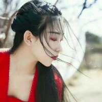 山有木兮木有枝 说了对不起，是否可以