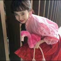 我来赴一场无关风月的