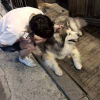 穷则独善其身 达则养你 想做你 枕边书 怀中