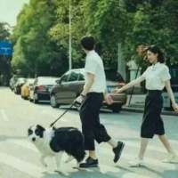 我不是海绵宝宝 哭了