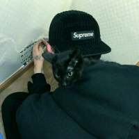 “别做混世大魔王了”做我的小公主吧 应付一天的生活已经很