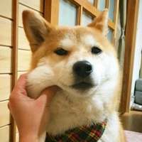 ? 总有那么一个人，一句