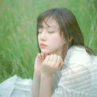 朝歌 不务实 贪享乐是极乐