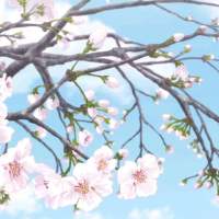 此花亭呀? ﹏ 奈何桥下的罂粟花