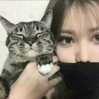 对不起 我依然爱你