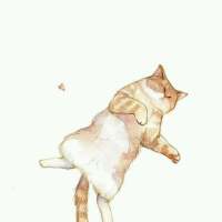 鲜花之所以会插在牛粪