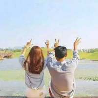 枯黄枝叶 故海离歌 我不是高傲，也不是胡
