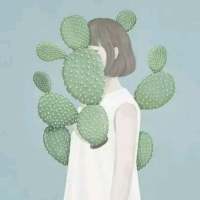 ﹏＼花 开 为 谁