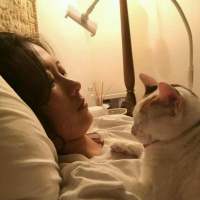 白茶清欢无别事 她只是玩玩，你又何必