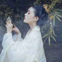 你无情地将我的幻想破