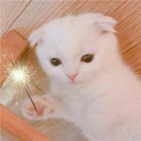 人啊一旦有了依赖就会变成幼儿园里等人来接...