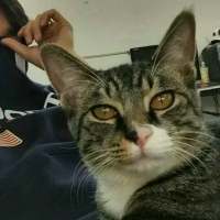 进一步没资格，退一步
