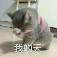 别让我听到你又爱上谁 我都快忘了曾经的那个