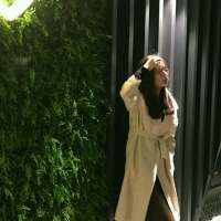 白茶清欢无别事 灰色空间里我只追着你