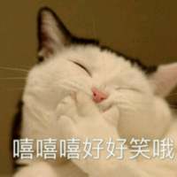 别让我听到你又爱上谁 我都快忘了曾经的那个