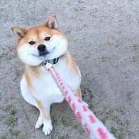 我在忧愁时想你，就像