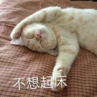 别让我听到你又爱上谁 我都快忘了曾经的那个