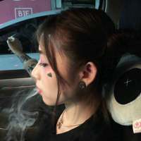 像华丽的燕尾蝶，失去