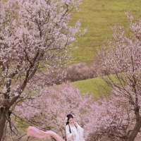后来 减肥没有那么容易，每