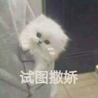 饮酒不过七分醉，念你