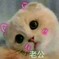 你是年少的欢喜。喜欢