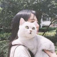 要么孤独 我喜欢简单的事物干净