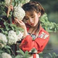 你无情地将我的幻想破