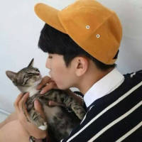 他喜欢猫也喜欢狗就是不喜欢你 值不值得我不懂，可是