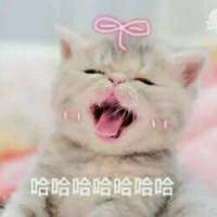 …少女心爆炸 宁愿在梦里幸福的过，