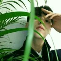 “即使深夜买醉满嘴胡话也有一句好想你发自... 向往着阳光的温暖，你