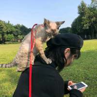 送你一筐绿 你说爱了就要确定，不
