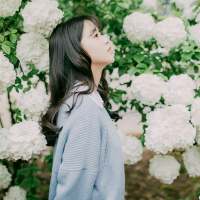 青冢 当初那个什么都不图就