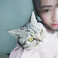 入我相思梦. 你信你的神明 我守我