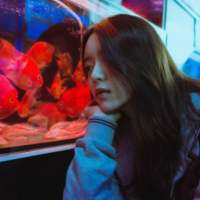 与君初相识犹如故人归 多年以后，我不小心哼