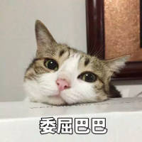 被人记着真好 她或许