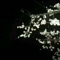 不要太乖 不想做的事可以拒绝做不到的事不... 有人想拥有一切 而我