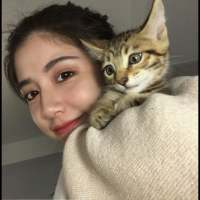 如果遇见你需要花光我