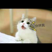 哈哈哈 努力再度掏空 千万不