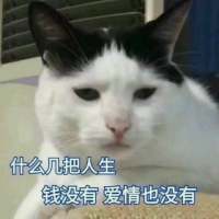 你是年少的欢喜。喜欢