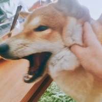 另类搞笑情头。 ▲щòの塬則ьμ4穰