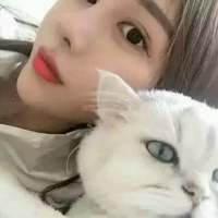 留不住的人像阵风遇见