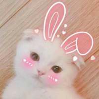 从你的心里 看到我自